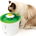el mejor bebedero automático para gatos catit